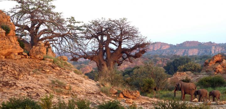 Voyage sur-mesure, Tuli Block